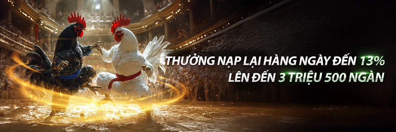 Tổng quan nền tảng mv66